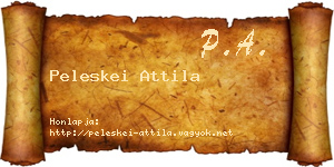 Peleskei Attila névjegykártya